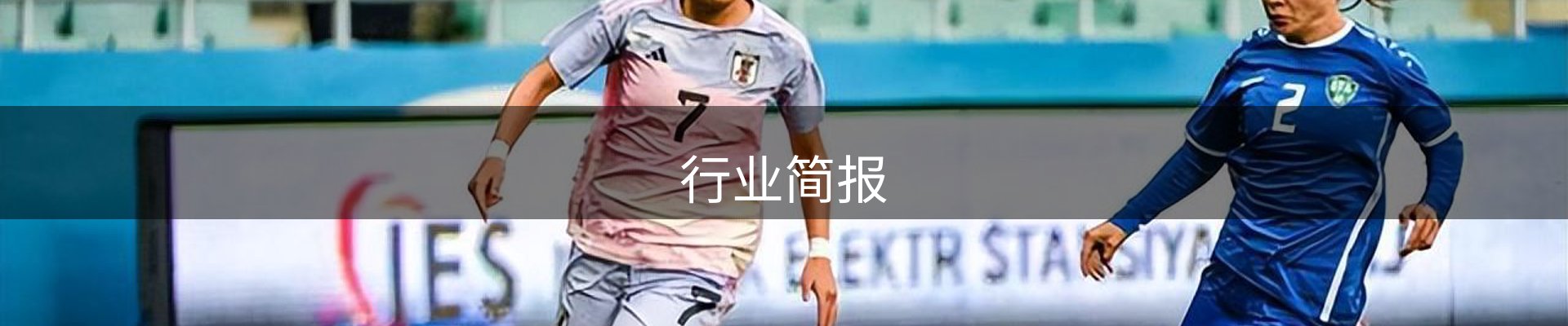 行业简报